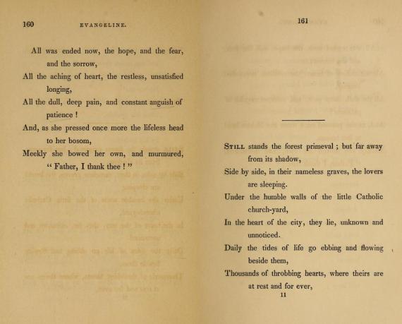 Image of pg. 160-161 of Evangeline