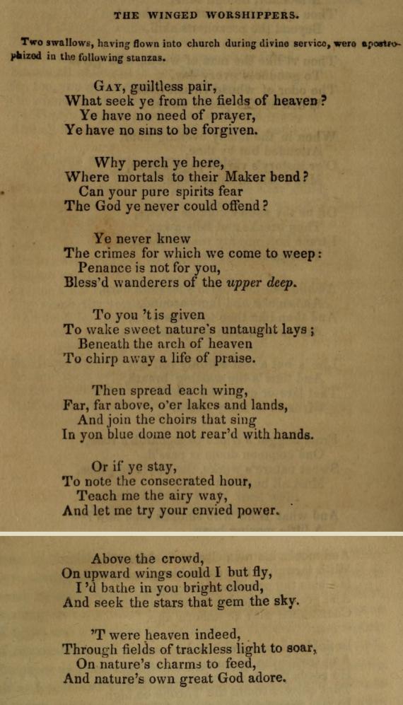 Image of the poem "The Winged Worshipers"